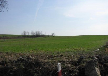 działka na sprzedaż - Wiązów (gw), Wawrzyszów