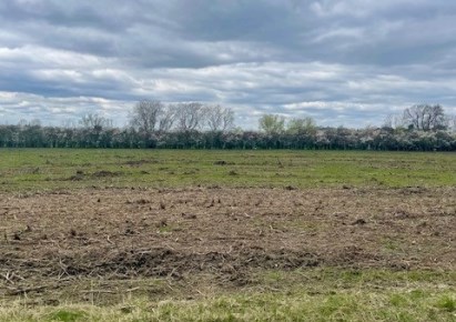 działka na sprzedaż - Kąty Wrocławskie (gw), Cesarzowice, Owocowa